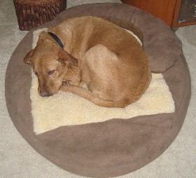 Riley on her bumper pillow bed